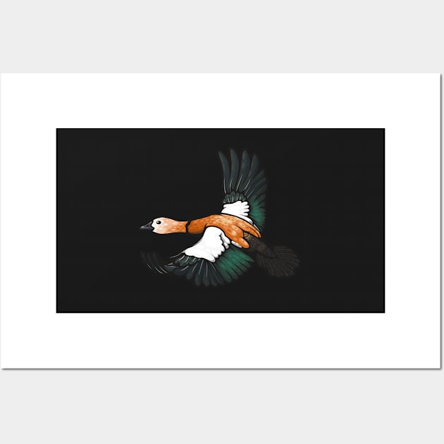 Ruddy Shelduck Wall Art by Ginboy